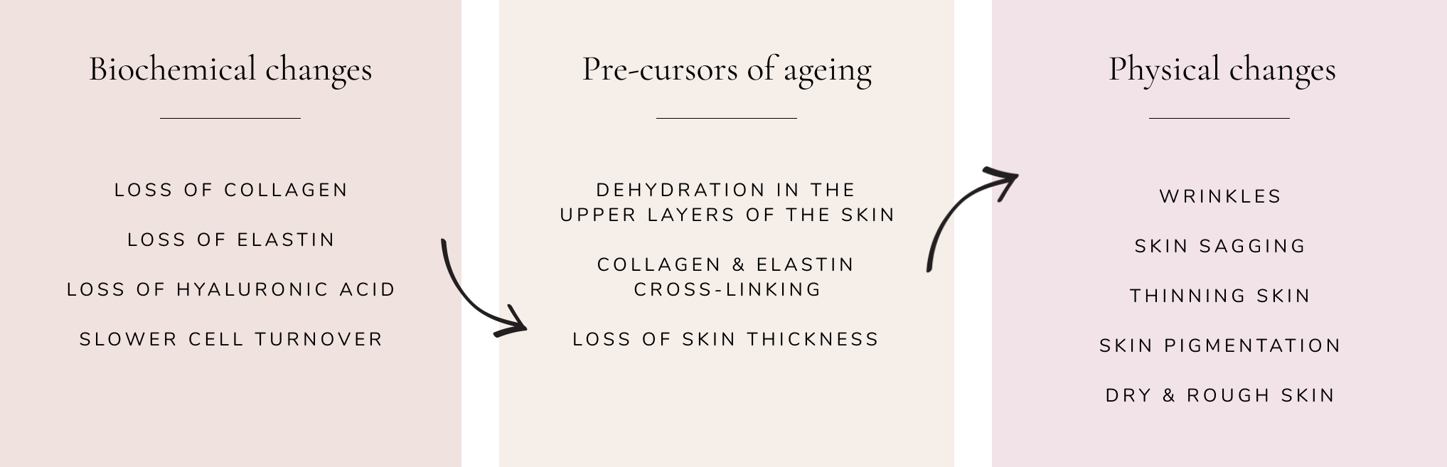 GET YOUR BEST EVER SKIN Raw Beauty Lab